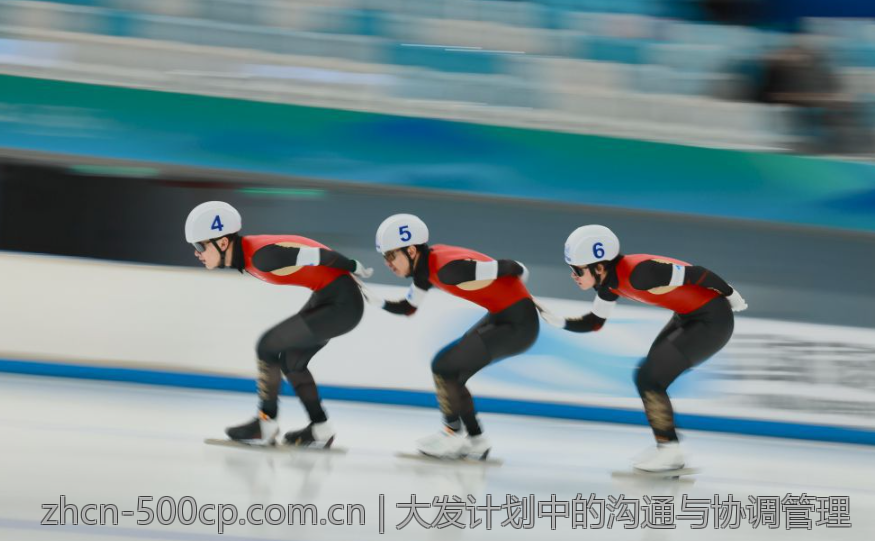 大发计划中的沟通与协调管理