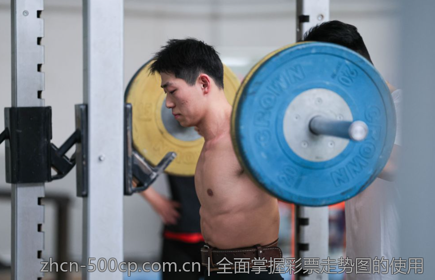 全面掌握彩票走势图的使用