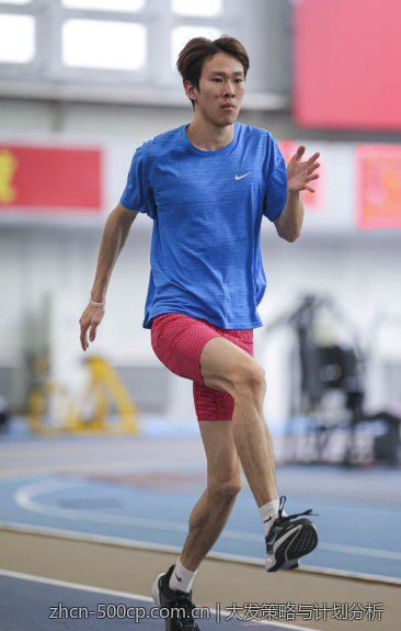 大发策略与计划分析