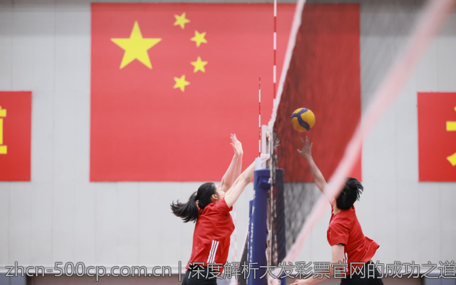深度解析大发彩票官网的成功之道