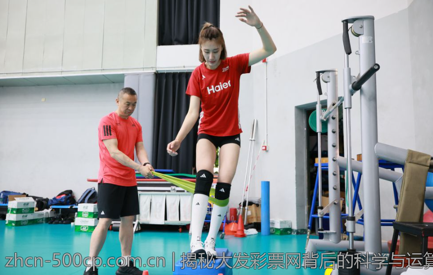 揭秘大发彩票网背后的科学与运算