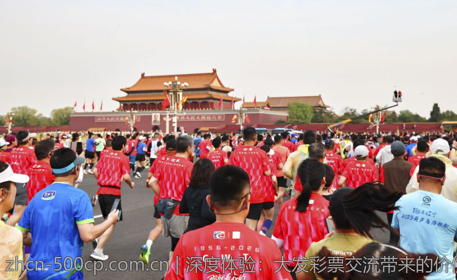 深度体验：大发彩票交流带来的价值